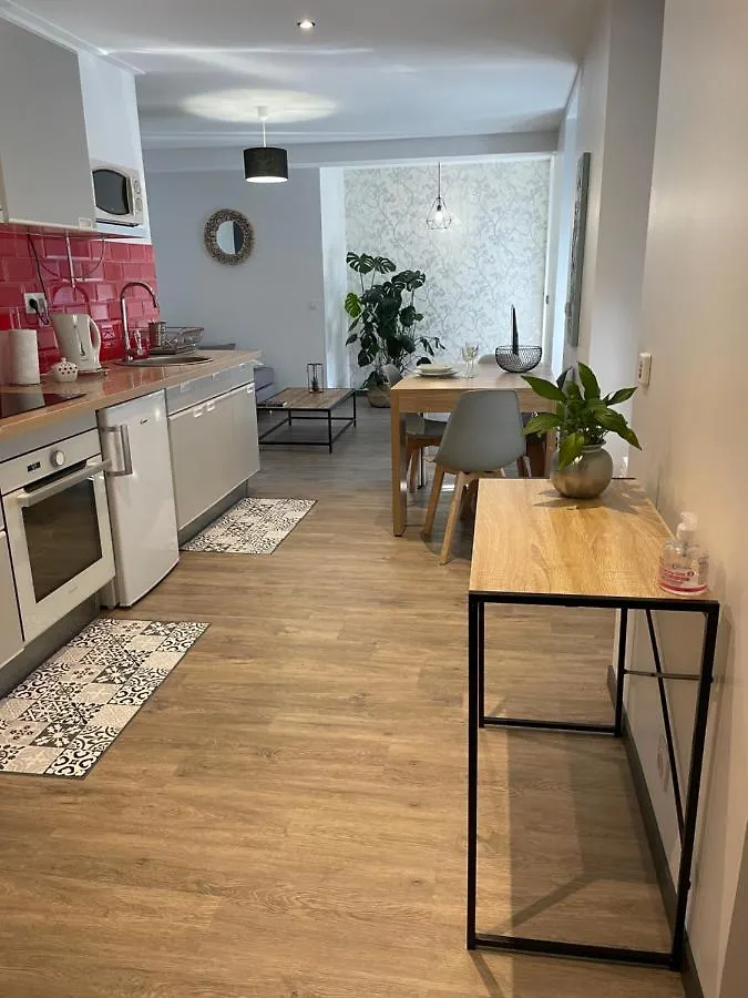 Appartement Cosy au coeur des 3 vallées Argelès-Gazost France